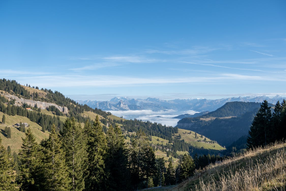 https://www.pexels.com/photo/panoramic-view-of-rigi-kulm-in-switzerland-29851079/