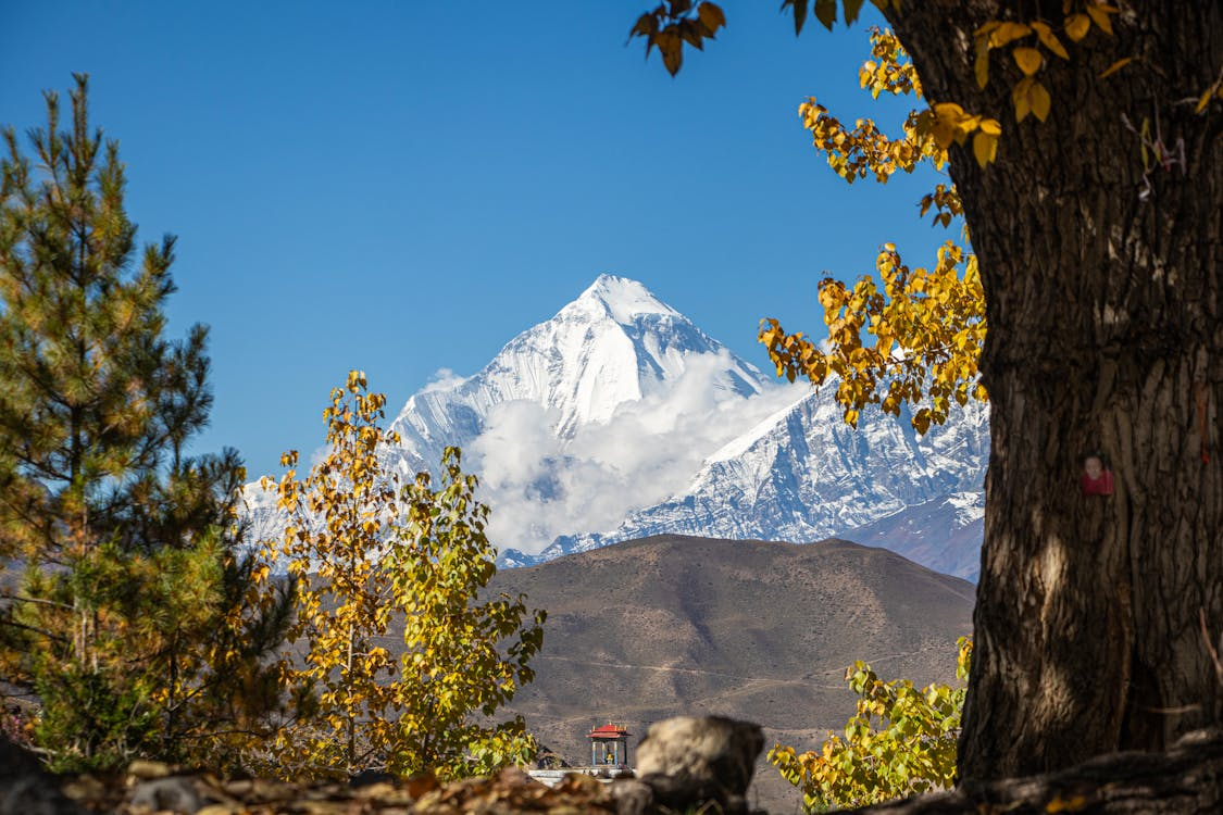 https://www.pexels.com/photo/stunning-view-of-mount-dhaulagiri-in-autumn-29974369/