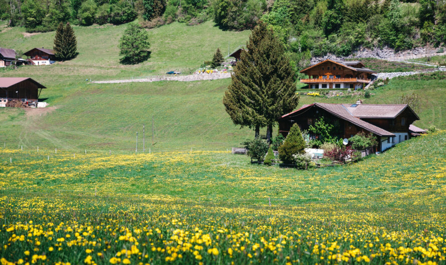 Traditional Swiss Village Fests Near Mount Rigi