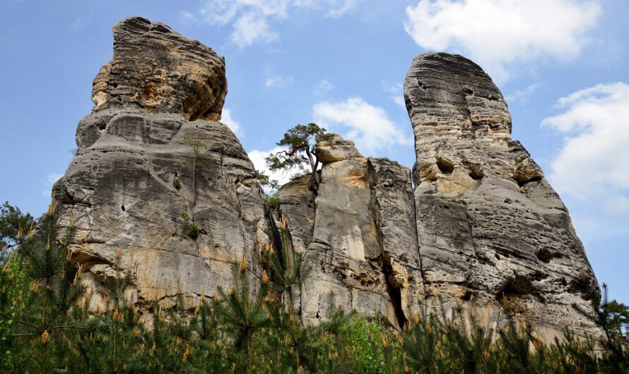 Unique Rock Formations on Mount Rigi Explained