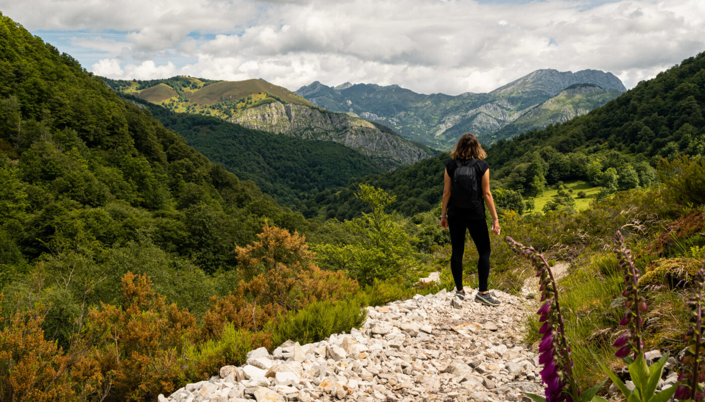 https://www.freepik.com/free-photo/young-woman-admiring-highland-views-hike-asturias_17530022.htm#fromView=search&page=2&position=24&uuid=6dcc7443-d35a-415b-b03f-8a5c5a61ae8f&query=Hidden+Adventure+Routes+on+Mount+Rigi+Only+Locals+Know