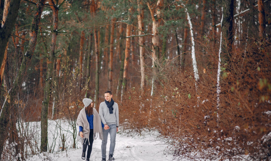 Winter Walking Routes: Safe Paths with Stunning Views