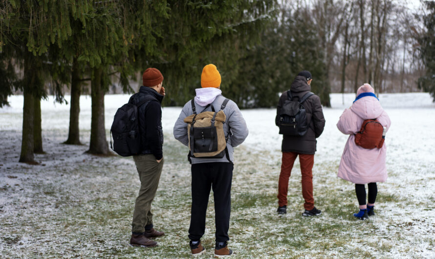 A Guide to Seasonal Crowds: When to Avoid & When to Visit