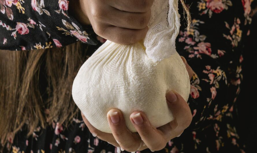 Local Cheese-Making Traditions Around Rigi Villages