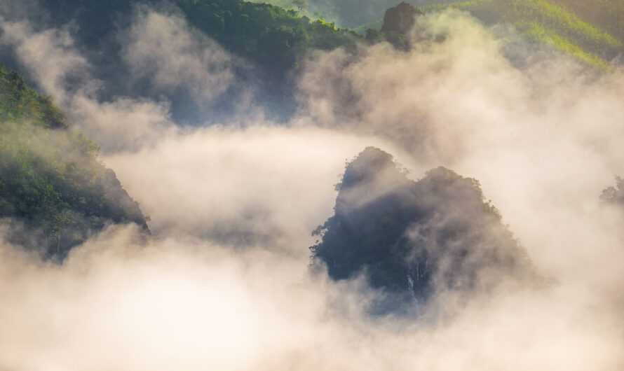 Atmospheric Phenomena on Rigi: Fog Bows, Halos & More