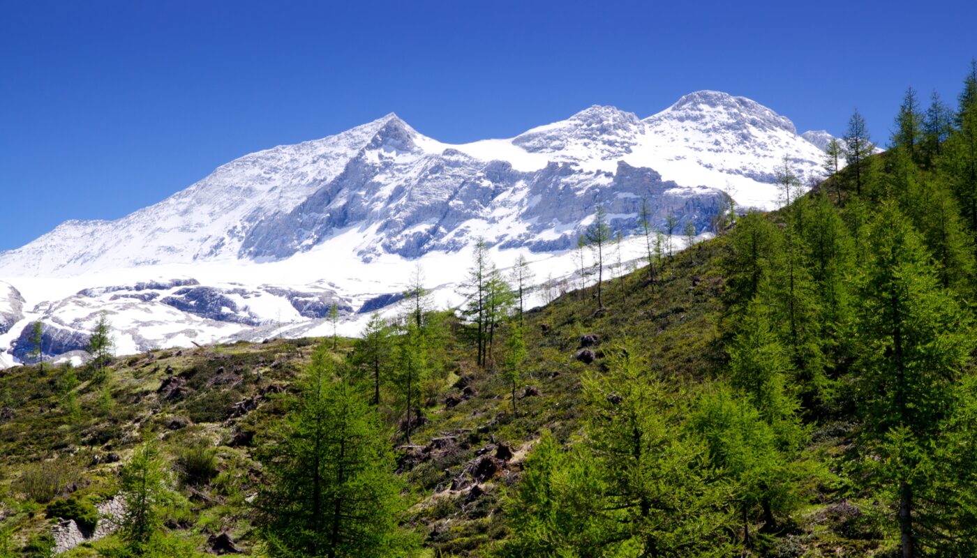 https://www.freepik.com/free-photo/snow-glacier-surrounded-by-greenery-sunlight-blue-sky-switzerland_11540734.htm#fromView=search&page=1&position=3&uuid=39ac97b1-9327-4e51-b8cb-20a684dd38ca&query=+Mount+Rigi+