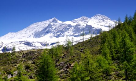 https://www.freepik.com/free-photo/snow-glacier-surrounded-by-greenery-sunlight-blue-sky-switzerland_11540734.htm#fromView=search&page=1&position=3&uuid=39ac97b1-9327-4e51-b8cb-20a684dd38ca&query=+Mount+Rigi+