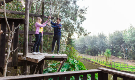 https://www.freepik.com/free-photo/couple-ready-pull-rope_905480.htm#fromView=search&page=1&position=21&uuid=699a418f-996c-4b9a-9d4e-33a42cef7258&query=Forest+Adventure+Parks+Near+Rigi%3A+Thrills+for+All+Ages