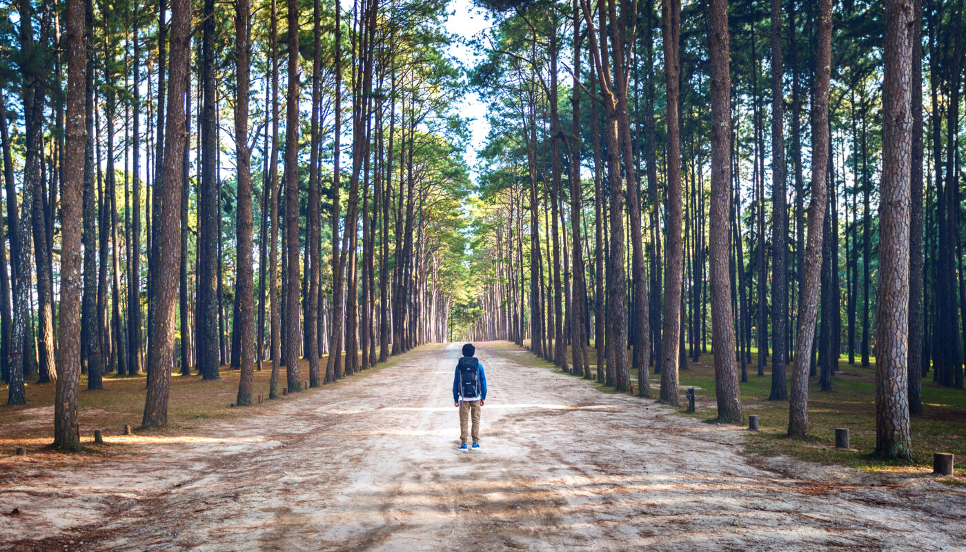 https://www.freepik.com/free-photo/hiking-man-with-backpack-walking-forest_13181321.htm#fromView=search&page=1&position=29&uuid=10151245-5860-4123-9896-06bc7104c54f&query=Mindfulness+Trails%3A+Walking+Routes+Designed+for+Reflection