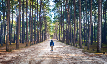 https://www.freepik.com/free-photo/hiking-man-with-backpack-walking-forest_13181321.htm#fromView=search&page=1&position=29&uuid=10151245-5860-4123-9896-06bc7104c54f&query=Mindfulness+Trails%3A+Walking+Routes+Designed+for+Reflection
