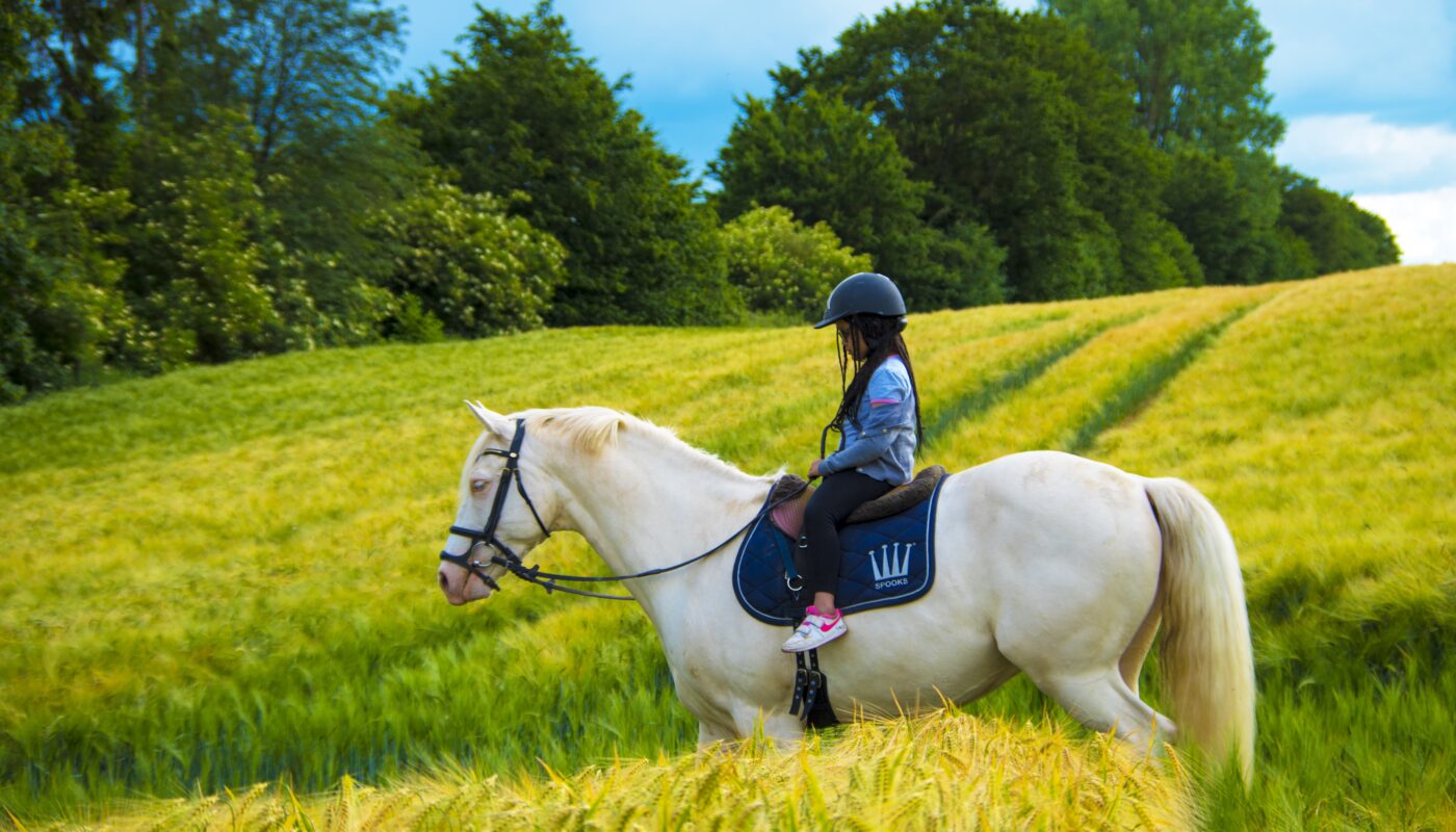 https://pixabay.com/photos/little-girl-horseback-riding-6777855/