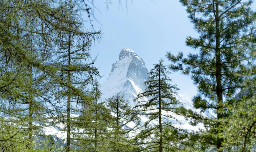 Best Seasonal Photo Spots: Spring vs Summer vs Autumn vs Winter