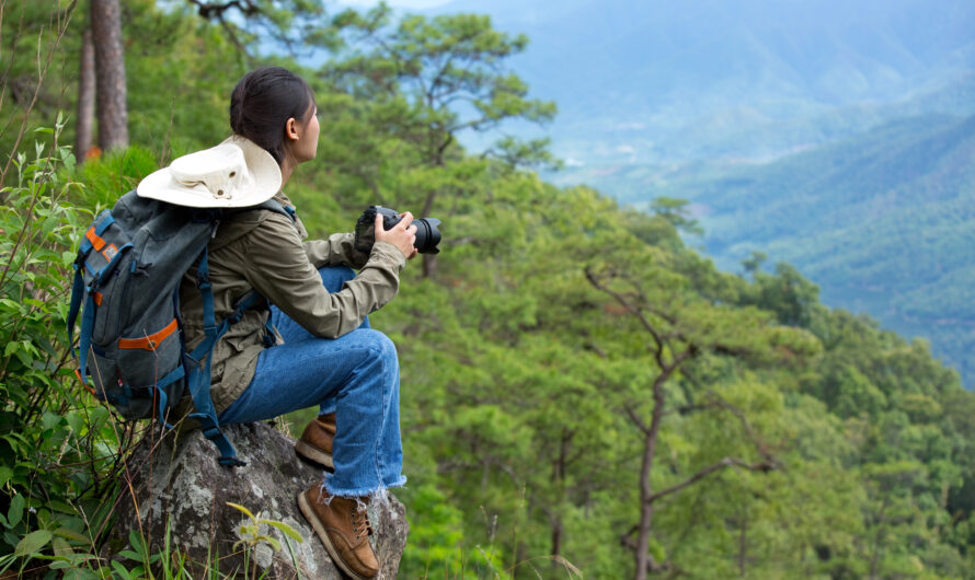 Birdwatching on Mount Rigi: Species, Spots & Best Season