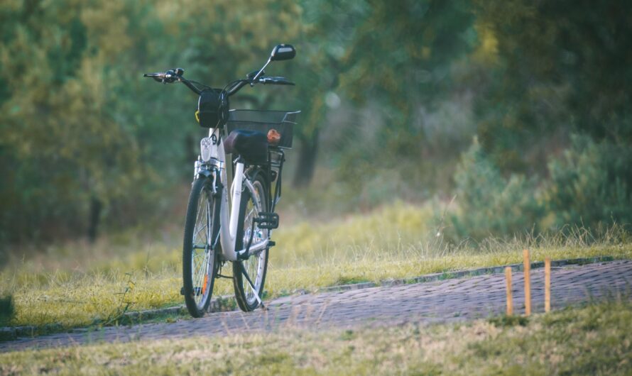 Exploring Mount Rigi by E-Bike: Routes, Rentals & Tips