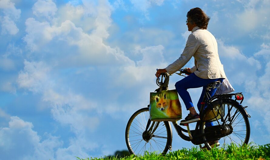 Slow Travel on Mount Rigi: Wellness Through Simplicity