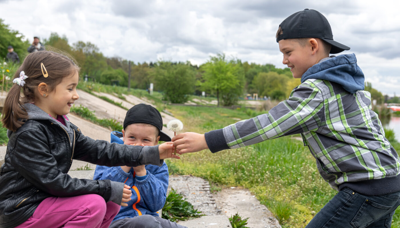 https://www.magnific.com/free-photo/boy-gives-little-girl-dandelion-nature_15761847.htm#fromView=search&page=1&position=22&uuid=8747a05a-646f-422e-9a21-4cfa5b949109&query=Mistakes+to+Avoid+When+Taking+Children+to+Mount+Rigi