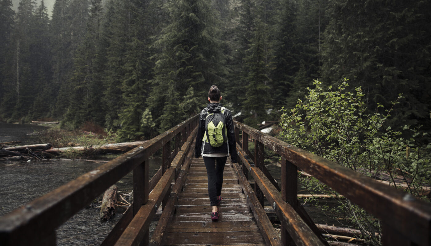 https://www.magnific.com/free-photo/female-hiker-walking-wooden-bridge_2718723.htm#fromView=search&page=1&position=48&uuid=fdee57b0-df7f-4f3e-a92f-ef0740c4ce33&query=Best+Beginner-Friendly+Trails+for+Those+Afraid+of+Heights