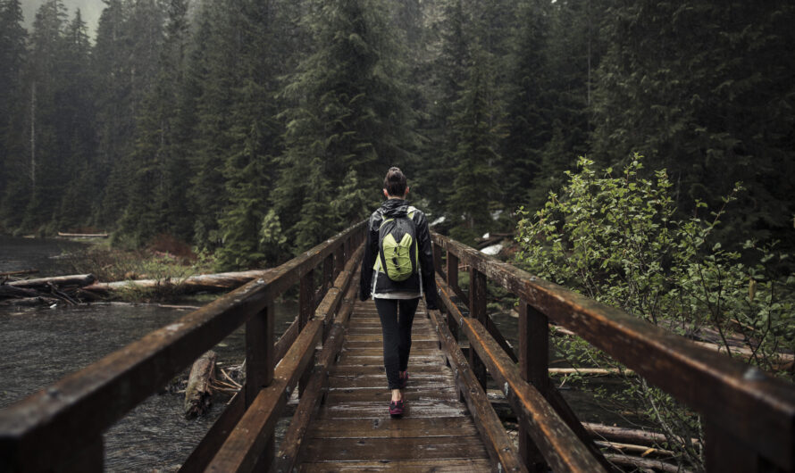 Best Beginner-Friendly Trails for Those Afraid of Heights