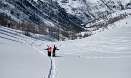 https://www.magnific.com/free-photo/forested-mountain-covered-snow-people-hiking-col-de-la-lombarde_11343638.htm#fromView=search&page=1&position=4&uuid=bfa6d866-7ed7-4c06-b75d-f5cde84cc84e&query=Snowshoe+Trails+on+Mount+Rigi%3A+A+Beginner%E2%80%99s+Guide