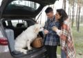 https://www.magnific.com/free-photo/meidum-shot-owners-with-cute-dog_15365704.htm#fromView=search&page=1&position=40&uuid=94e14cf0-12e9-4bab-b4c6-ffe46fba0315&query=How+to+Plan+a+Pet-Friendly+Trip+to+Mount+Rigi