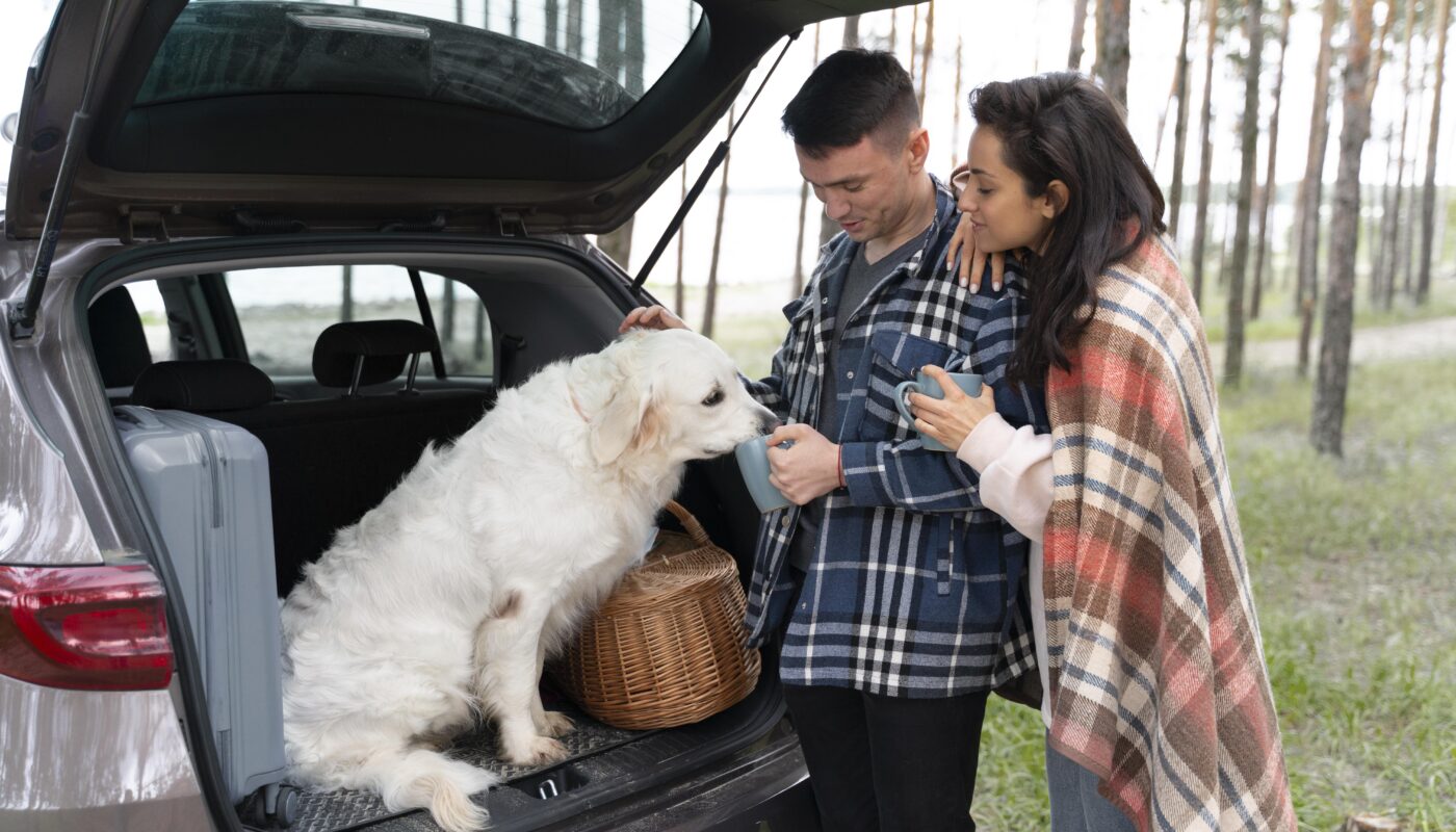 https://www.magnific.com/free-photo/meidum-shot-owners-with-cute-dog_15365704.htm#fromView=search&page=1&position=40&uuid=94e14cf0-12e9-4bab-b4c6-ffe46fba0315&query=How+to+Plan+a+Pet-Friendly+Trip+to+Mount+Rigi