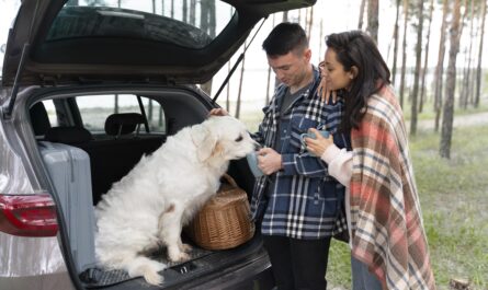 https://www.magnific.com/free-photo/meidum-shot-owners-with-cute-dog_15365704.htm#fromView=search&page=1&position=40&uuid=94e14cf0-12e9-4bab-b4c6-ffe46fba0315&query=How+to+Plan+a+Pet-Friendly+Trip+to+Mount+Rigi